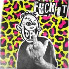 DFL-FUCK IT-16BIT-WEB-FLAC-2026-FLACCiD