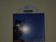 Geese - Getting Killed