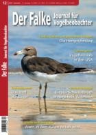 Der Falke - Journal fuer Vogelbeobachter 12/2025