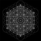 2hollis - star