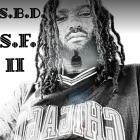 SilverBack Druskey - S F II