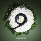 Phase Fatale - Issue N  Fifteen