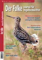 Der Falke - Journal fuer Vogelbeobachter 05/2026