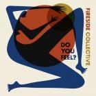 Fireside Collective - - Do You Feel  