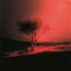 Joji - Piss In The Wind (Bonus Track Version)