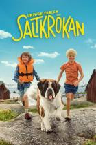 Unsere Ferien auf Saltkrokan - Staffel 1