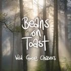 Beans On Toast - Wild Goose Chasers