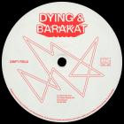Dying & Barakat - Drift Field