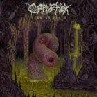 Grave Hex - Vermian Death