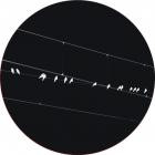 Conforce - Cruising EP