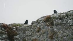 Irlands.unbekannte.Mitte.E01.Der.Norden.GERMAN.DOKU.WS.HDTVRip.x264-Goodboy