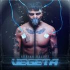 Ardian Bujupi - VEGETA