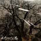 Shep Treasure - Blanket