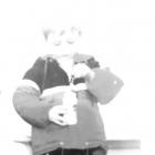 The Domestics - Generational Loss