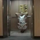 Xterea - I'll Call You Later