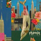 Spoek Mathambo - Flipper Sghubu Indie Flips