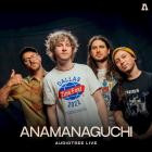 Anamanaguchi - Anamanaguchi On Audiotree Live