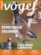 Voegel - Magazin fuer Vogelbeobachtung 92/2026