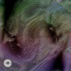 VA-Portal To Elsewhere- ABTVA012 -16BIT-WEB-FLAC-2026-TR