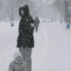 Fanon Flowers - Slovakian Nights Remixed