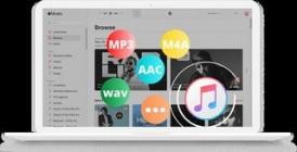 Pazu Apple Music Converter v1.8.8 (x64)