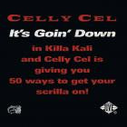 Celly Cel-Its Goin Down-16BIT-WEB-FLAC-1996-SHHHHHH