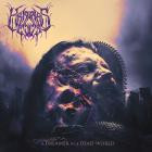 Krishnas Cult - A Dreamer In A Dead World