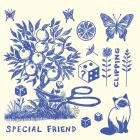 Special Friend - Clipping