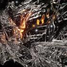 Good Tiger - The Most Negative Day Of The Year