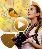 ACDSee Photo Studio Home 2026 v29.0.1.3351 (x64)