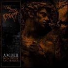 The Black Court - Amber - Momentum Grotesque