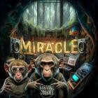 Strange Cookies - Miracle