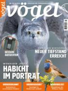 Voegel - Magazin fuer Vogelbeobachtung 91/2026