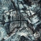 Astral Disorder - La Furia Detras Del Miedo