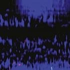 Valentino Mora - Biotope