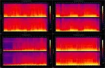 Noridogam - TRUTHBUSTER