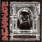 Incarnate - Document #2