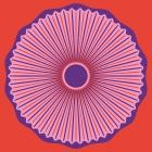 TORRES & Fruit Bats - A Decoration