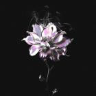 Voltaire - Elsewhere EP