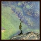 Night Gestalt - 7 Modes for a Revolution