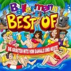 Ballermann Best Of - Die Größten Hits Von Damals und Heute