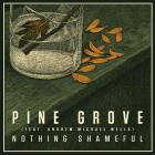 Nothing Shameful - Pine Grove (feat  Andrew Michael Wells)