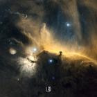 Luca Maniaci - Conscientia