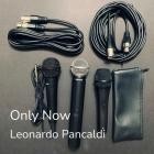 Leonardo Pancaldi - Only Now