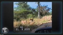 Die.Bestien.im.Auge.-.Die.Tierwelt.Afrikas.wie.Sie.sie.noch.nie.gesehen.haben.E03.GERMAN.DL.DOKU.2013.BDRiP.x264-PtBM