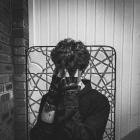 Braidyn - BLACK CATS BRING BAD LUCK