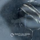 PRSPCTV aka XENTRIX - For The Floor EP