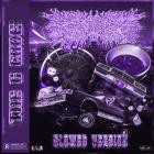 PeelingFlesh-The G Code  Crunk Edition -24BIT-48KHZ-WEB-FLAC-2024-FLACCiD