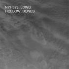 LDWG - Hollow Bones