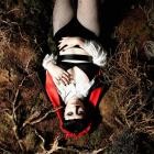 Bellzzz - Dear Elizabeth,